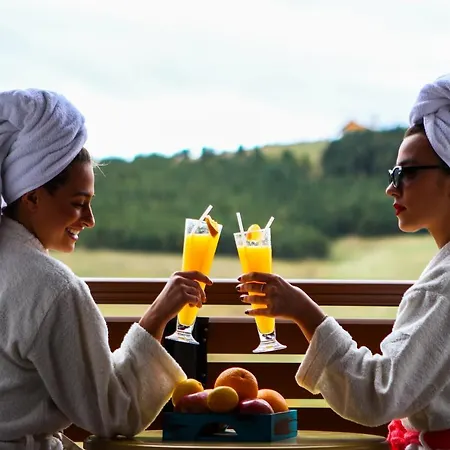 Adonis Wellnes & Spa * Zlatibor