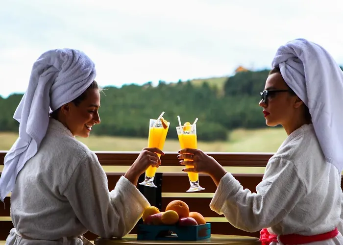 Adonis Wellnes & Spa * Ζλάτιμπορ